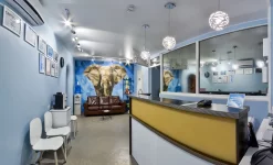стоматологическая клиника жемчужный слон на улице масленникова изображение 2 на проекте infodoctor.ru
